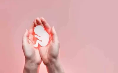 Nem lehet „jog” az emberi élet kioltása – A Pápai Életvédő Akadémia a francia abortusztörvényről
